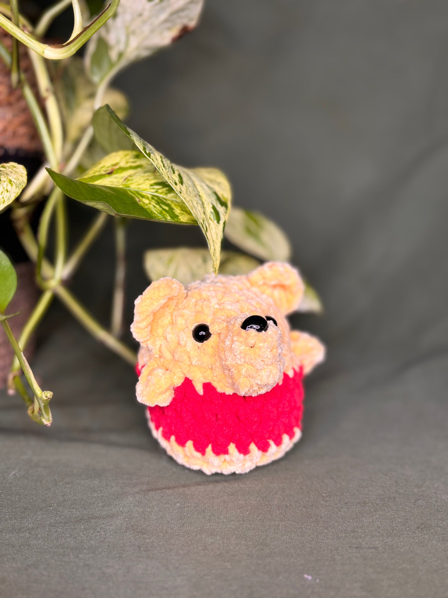 Pooh bear