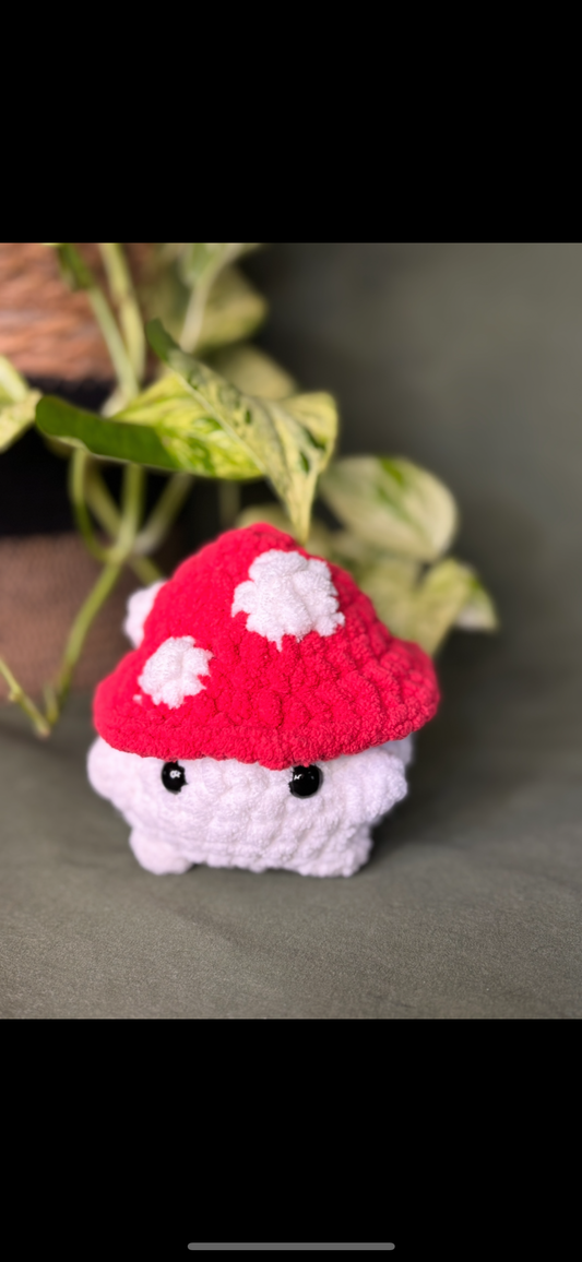 Lil shroom boi